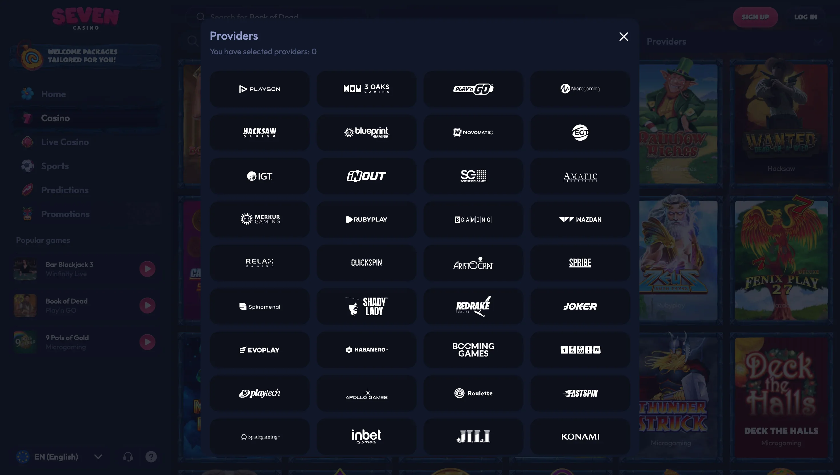 Studio logos in the provider filter Providers window with studio logos: Playson, 3 Oaks, Play'n GO, Microgaming, Hacksaw, Blueprint, Novomatic and EGT