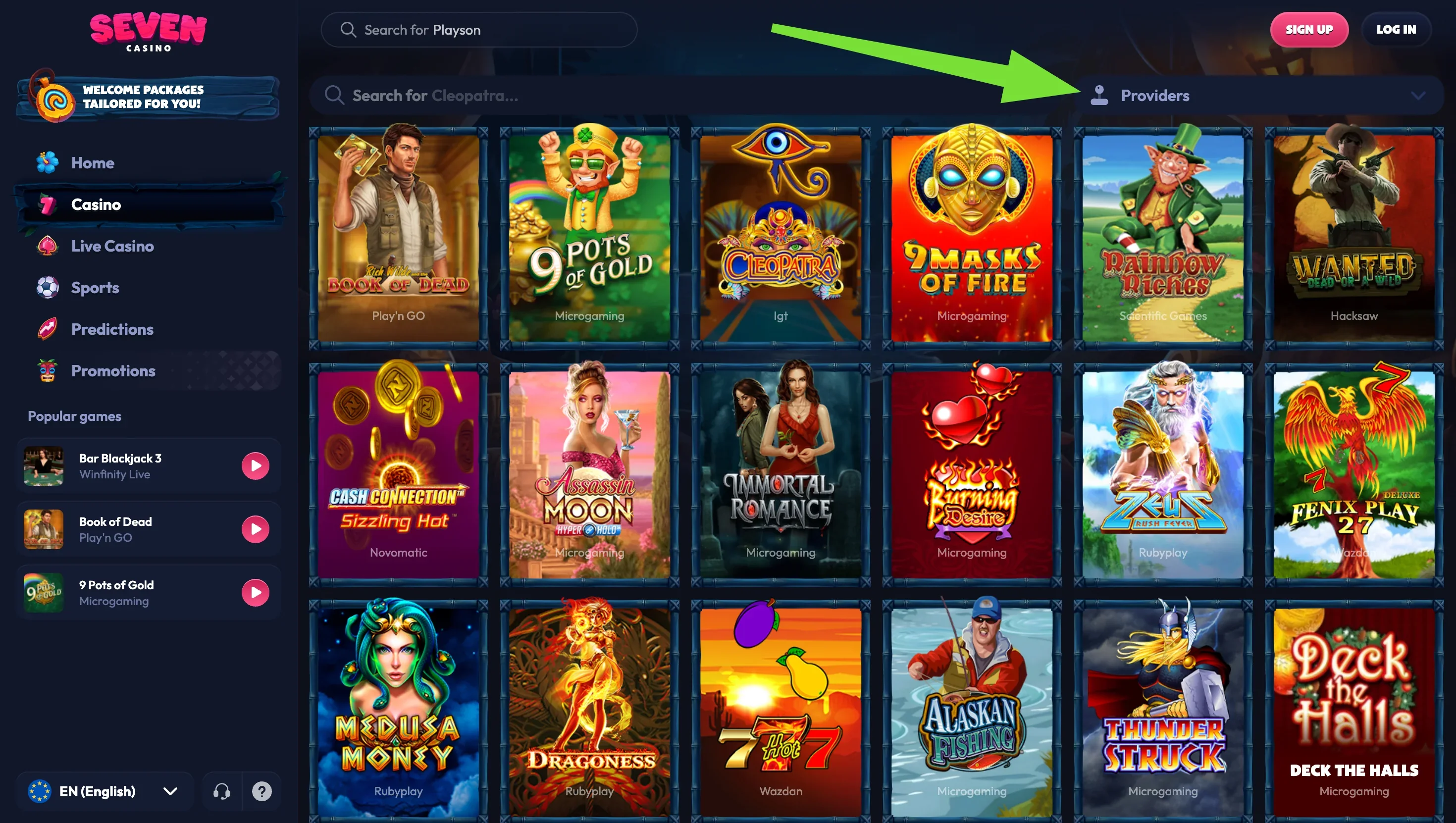 Slot grid with Book of Dead, 9 Pots of Gold, Cleopatra, 9 Masks of Fire and Rainbow Riches, Providers filter above